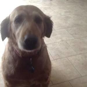 Meet your Posher, Gail